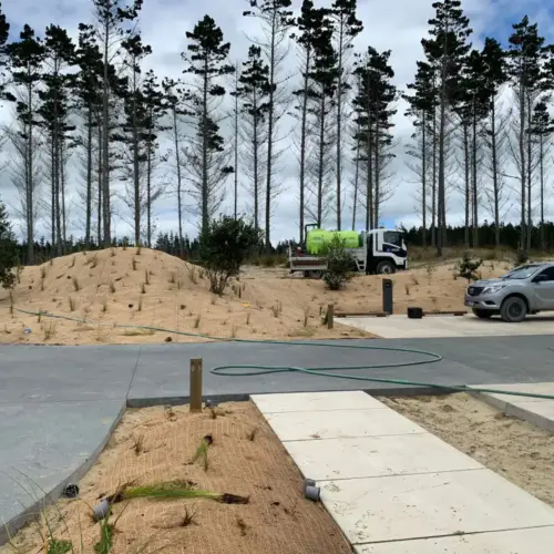 Sand Stabilisation in Landscaping image native grasses planted through coir blankets on landscaped sand mounds